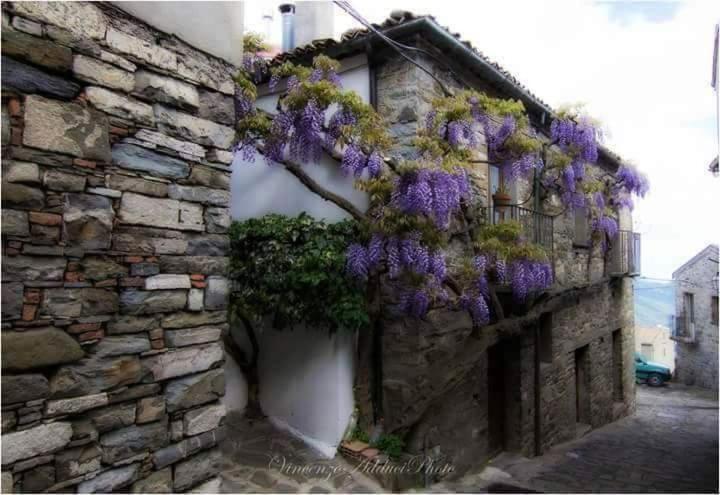 Sant'Elia B&B Alessandria del Carretto ภายนอก รูปภาพ