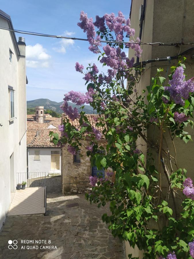 Sant'Elia B&B Alessandria del Carretto ภายนอก รูปภาพ